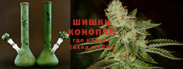 соль ск Волосово