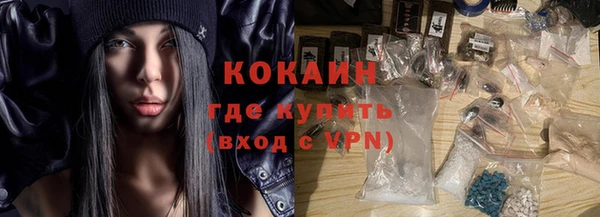соль ск Волосово