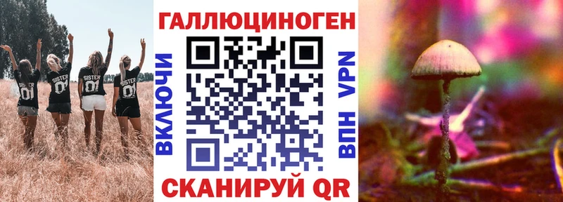 кракен вход  Ачхой-Мартан  Псилоцибиновые грибы MAGIC MUSHROOMS  закладка 